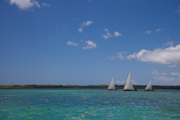 Pemba Channel Dhows
